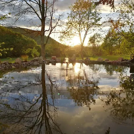 Apartman Newton - Fuer Business & Laengere Aufenthalte, Nahe Der Schweiz